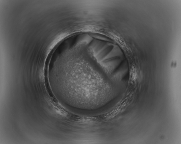 X0000097900292200803281345