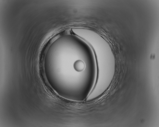 X0000097900293200803281345