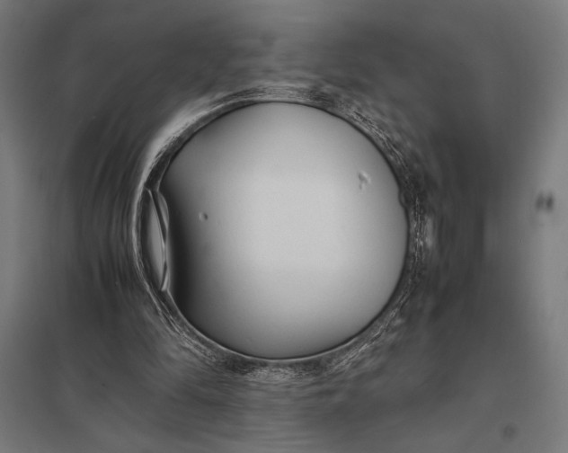 X0000097900294200803281345