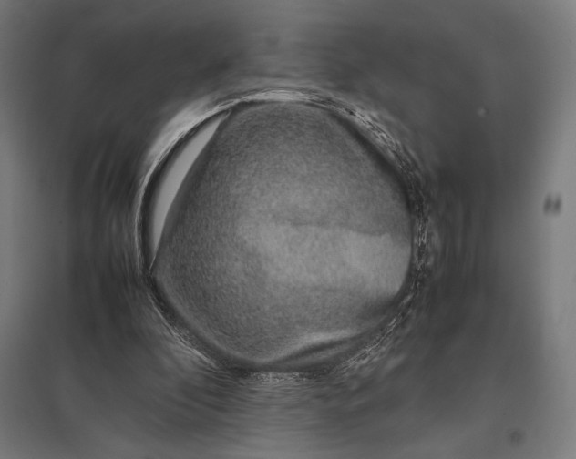 X0000097900296200803281345