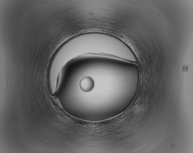 X0000097900297200803281345