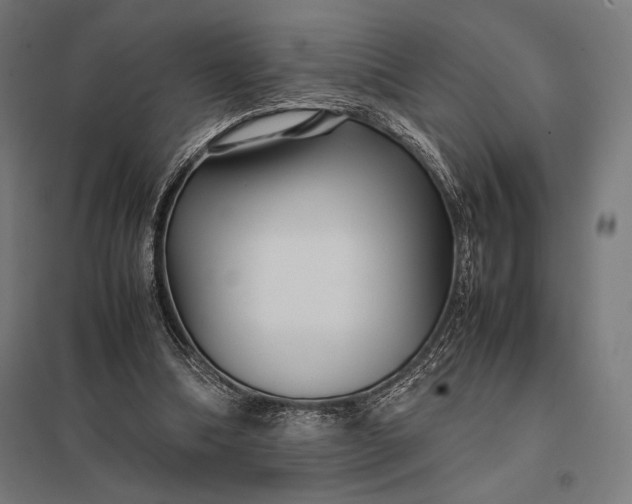 X0000097900298200803281345