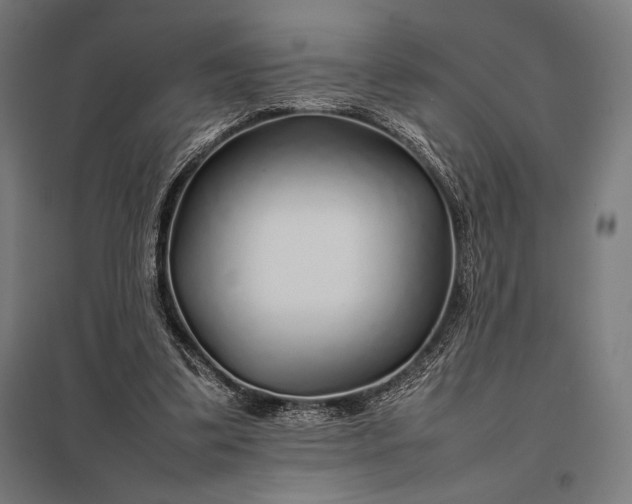 X0000097900299200803281345