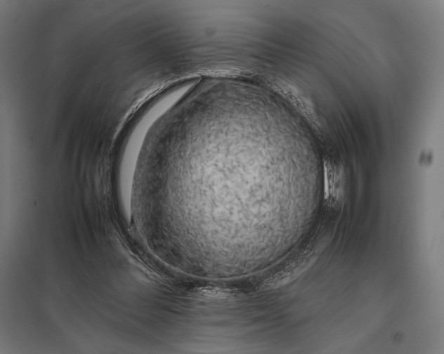 X0000097900300200803281345