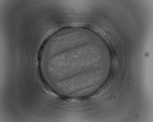 X0000097900303200803281345