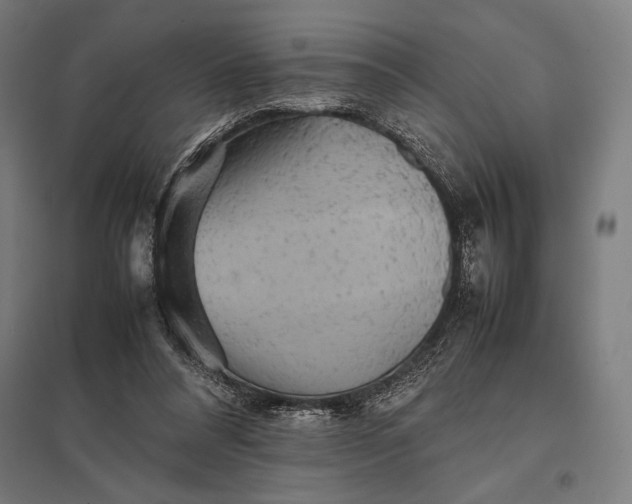 X0000097900304200803281345