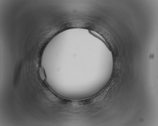 X0000097900305200803281345