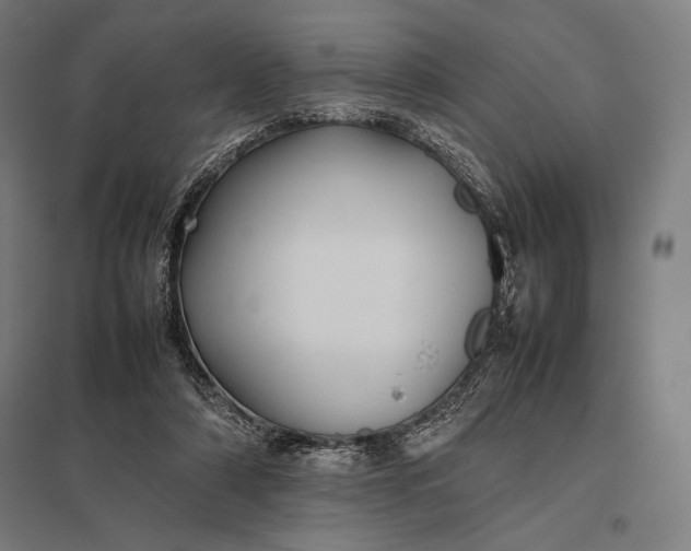 X0000097900306200803281345