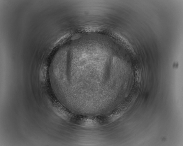 X0000097900308200803281345