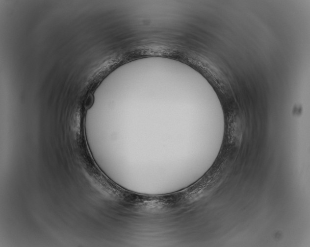 X0000097900310200803281345