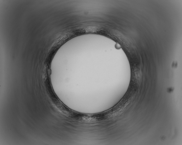 X0000097900311200803281345