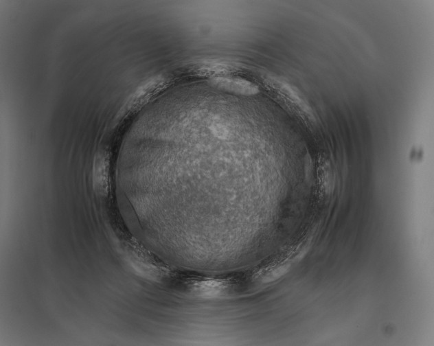 X0000097900312200803281345