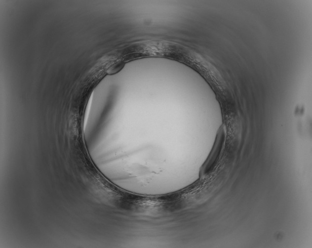 X0000097900313200803281345