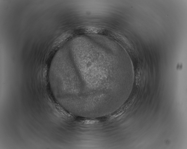 X0000097900314200803281345