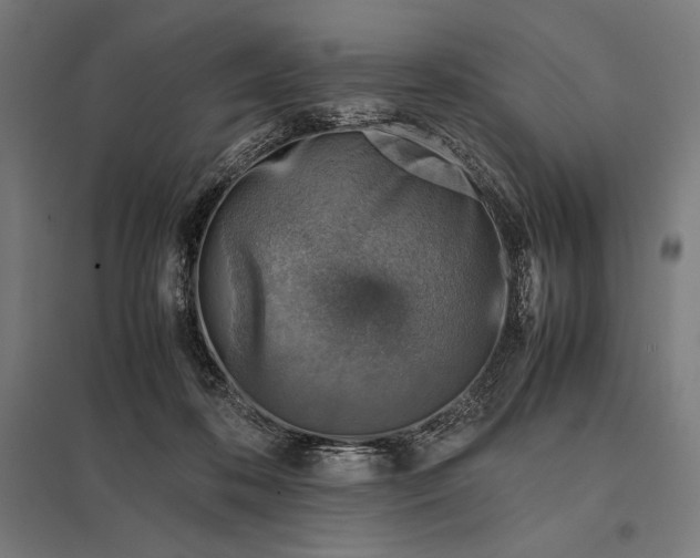 X0000097900316200803281345