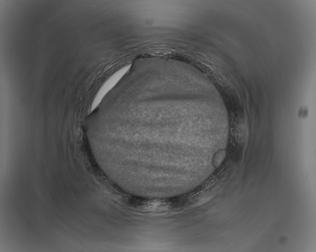 X0000097900319200803281345