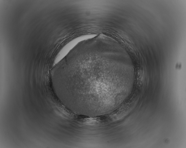 X0000097900320200803281345