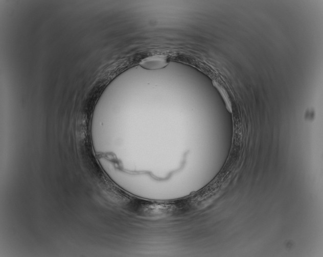 X0000097900323200803281345