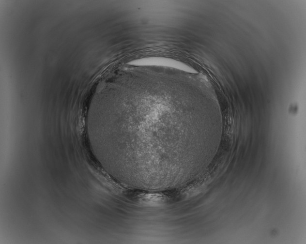 X0000097900324200803281345