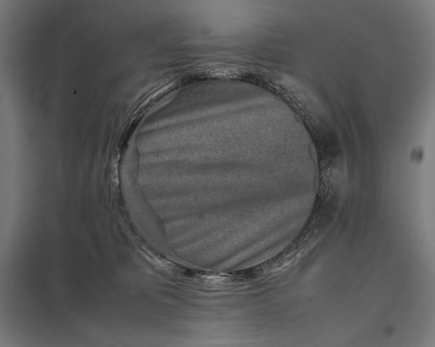 X0000097900325200803281345