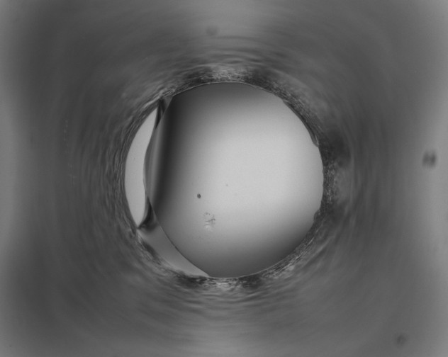 X0000097900329200803281345