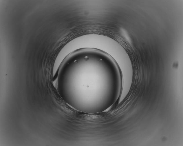 X0000097900332200803281345