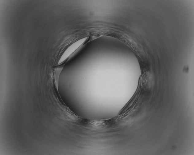 X0000097900333200803281345