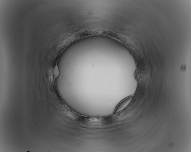 X0000097900335200803281344