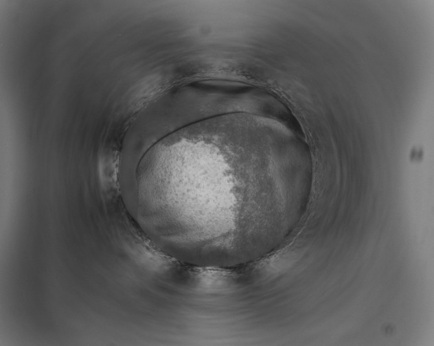 X0000097900336200803281344