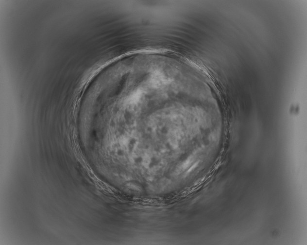 X0000097900337200803281344