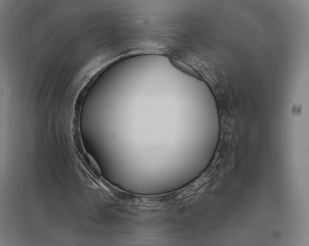 X0000097900338200803281344