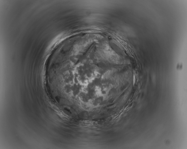 X0000097900339200803281344