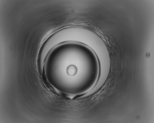 X0000097900340200803281344