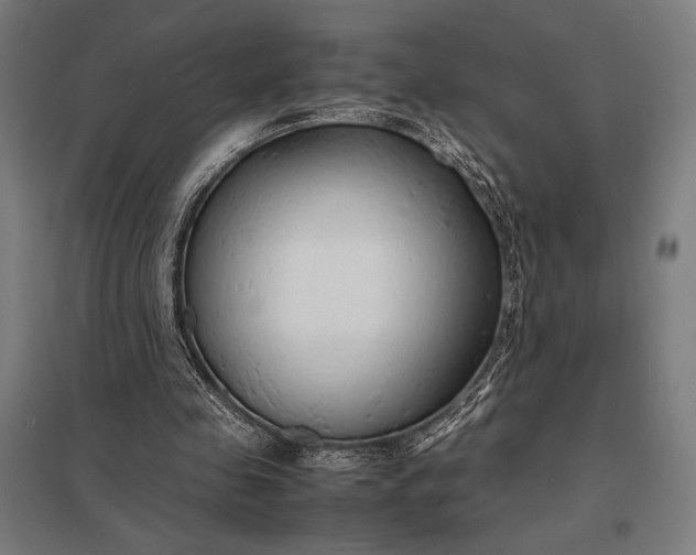 X0000097900341200803281344