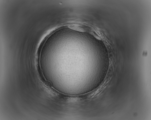 X0000097900342200803281344