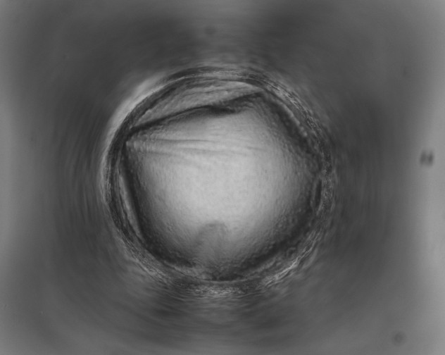 X0000097900343200803281344