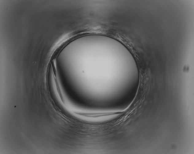 X0000097900344200803281344