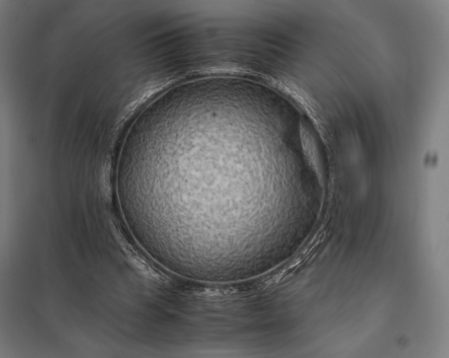 X0000097900345200803281344