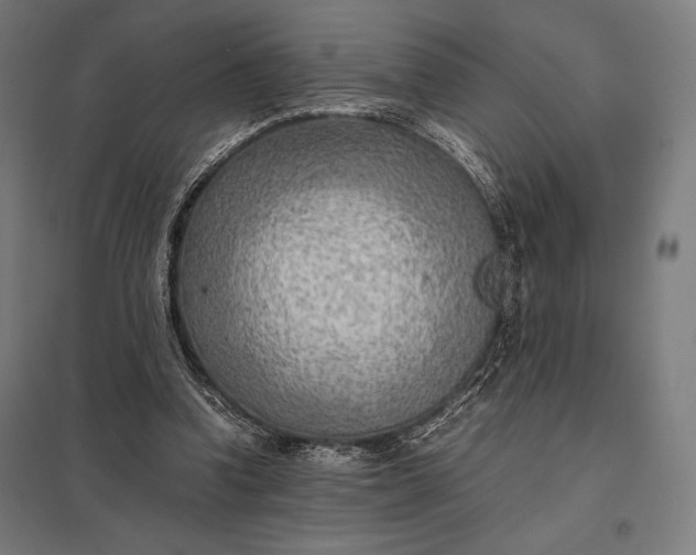 X0000097900346200803281344