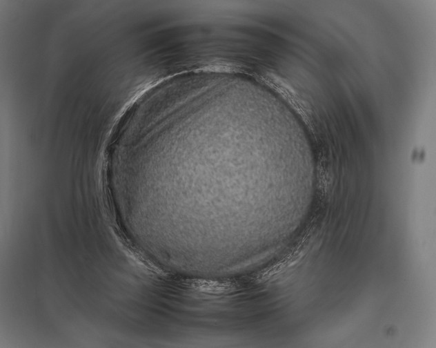 X0000097900347200803281344