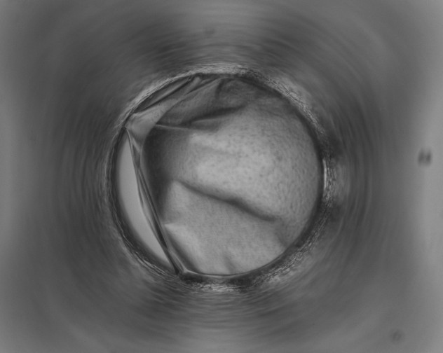 X0000097900348200803281344