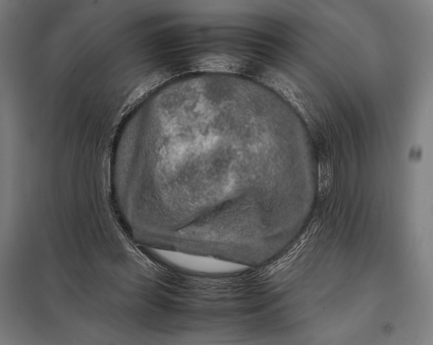 X0000097900349200803281344