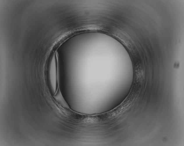 X0000097900350200803281344