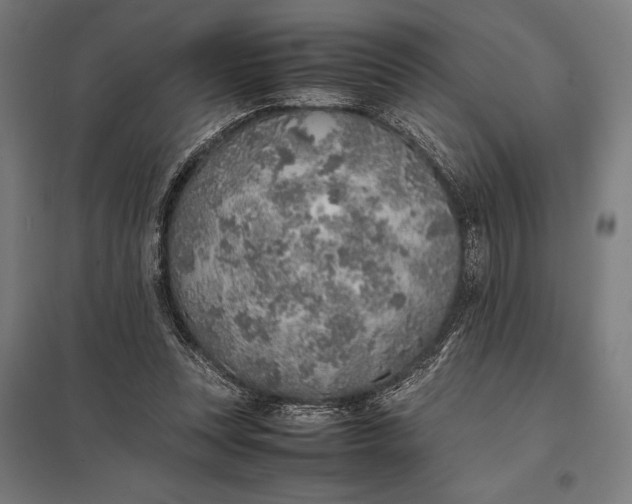 X0000097900351200803281344