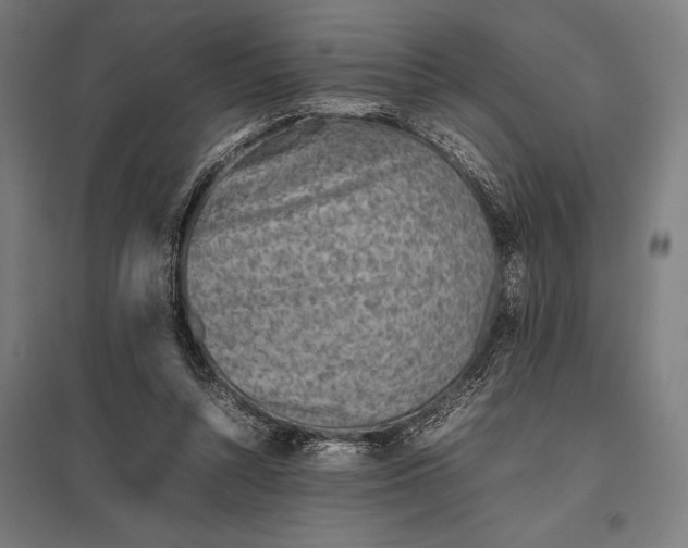 X0000097900352200803281344