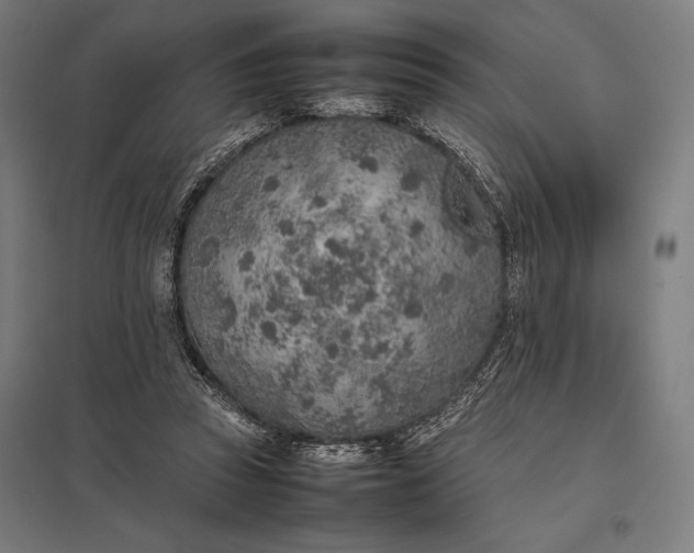 X0000097900353200803281344