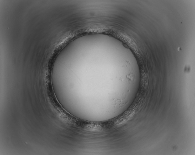 X0000097900354200803281344