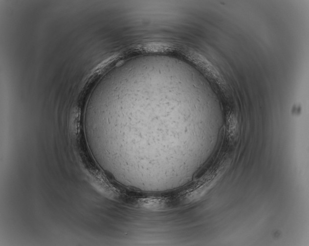 X0000097900356200803281344