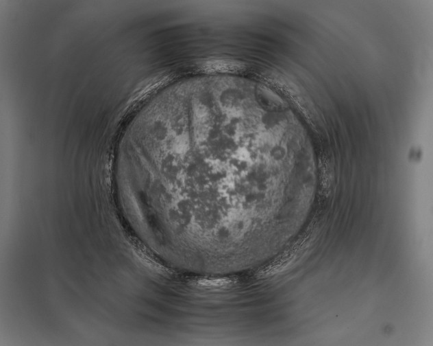 X0000097900357200803281344