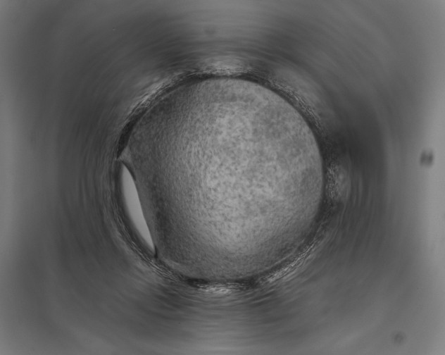 X0000097900358200803281344